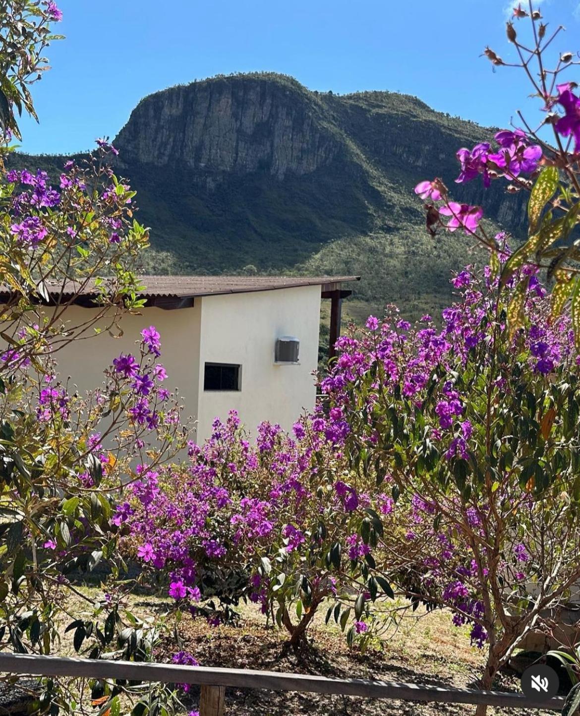 Pousada Rancho Dos Ipes Alto Paraiso de Goias Exterior photo